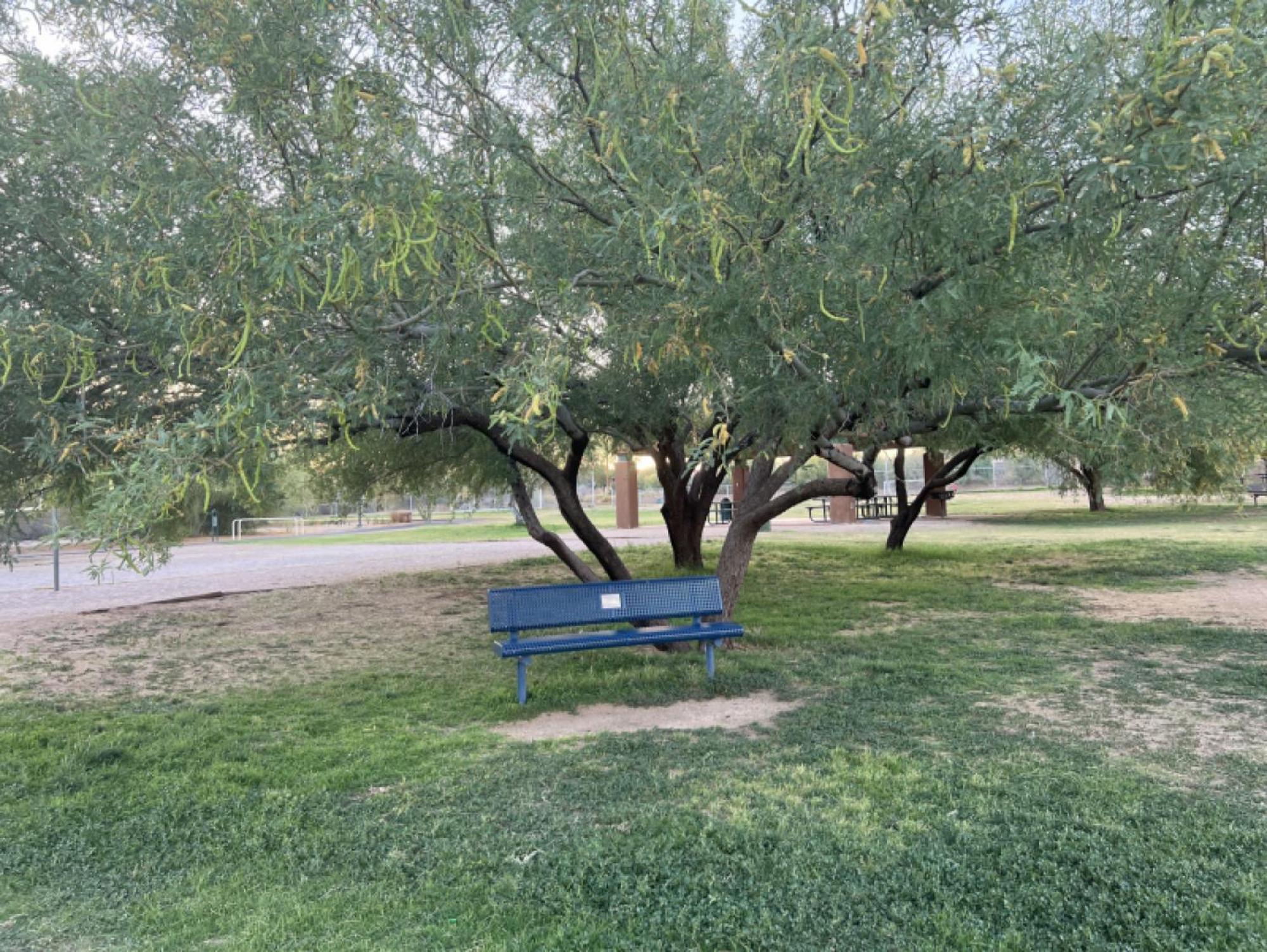 טוסון Private Home - Billiards, Mountain Views, Private Desert Access, Hoa Pool & Spa, Bbq, At Lambert Park - Bourbondale מראה חיצוני תמונה